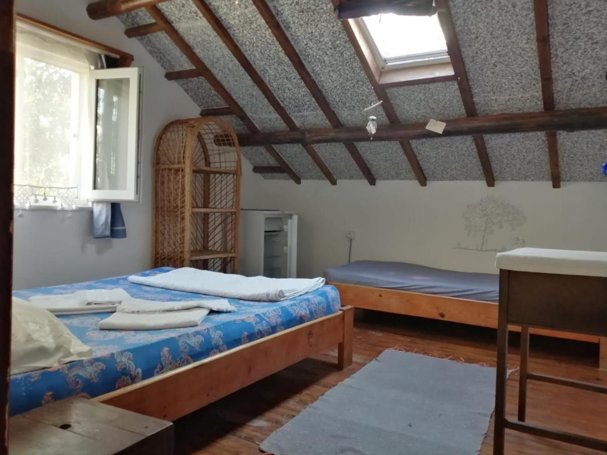 Ecer Pansiyon Kusadasi Exterior foto