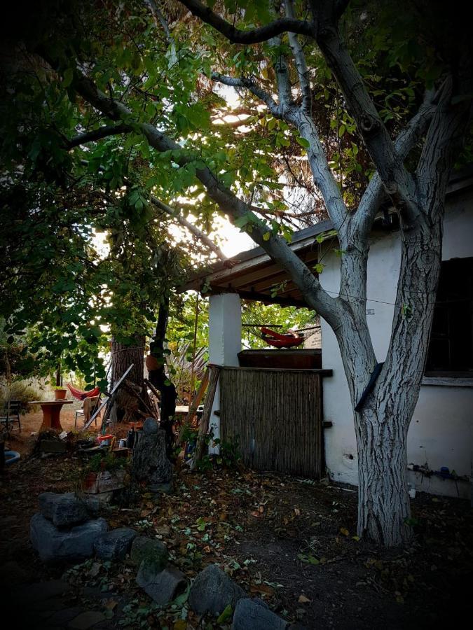 Ecer Pansiyon Kusadasi Exterior foto