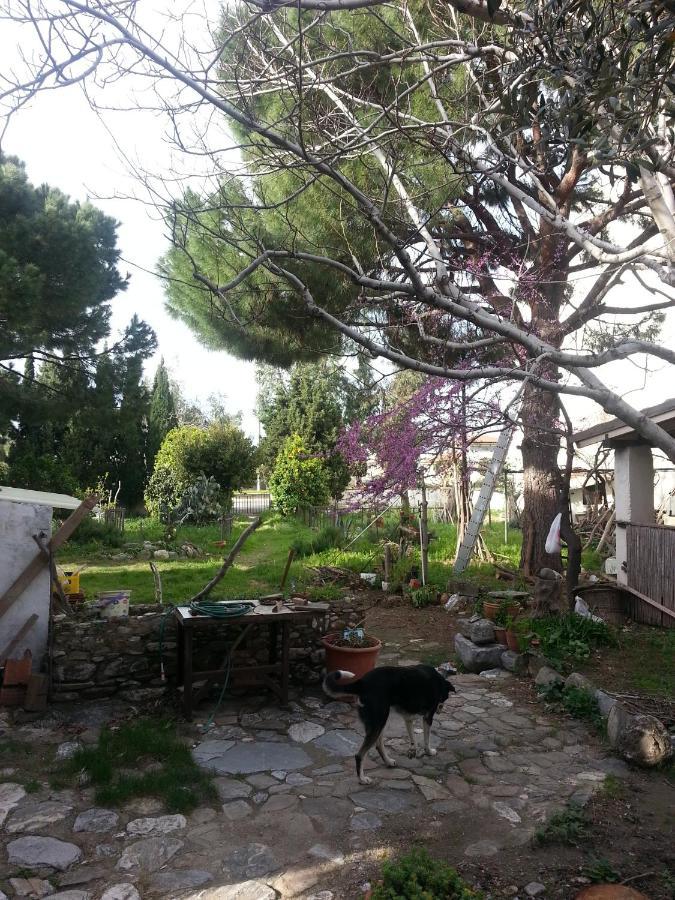 Ecer Pansiyon Kusadasi Exterior foto